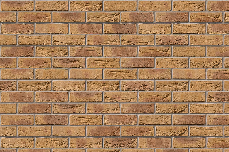 A0023A - Bradgate Golden Purple