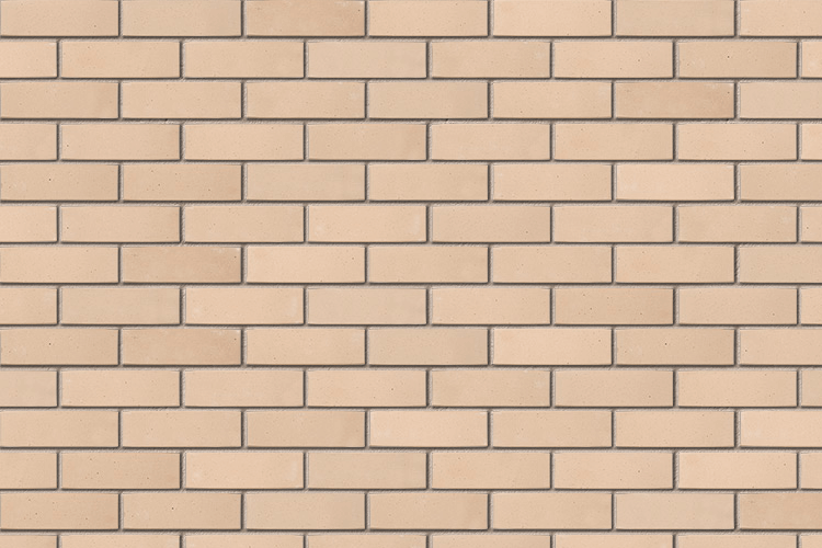 A5194A - Continental Buff